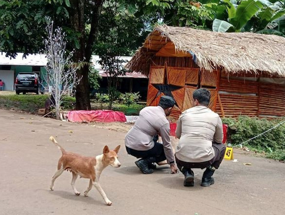 Police gather evidence near the site of a bomb explosion that took place outside the house of Jubi editor Victor Mambor