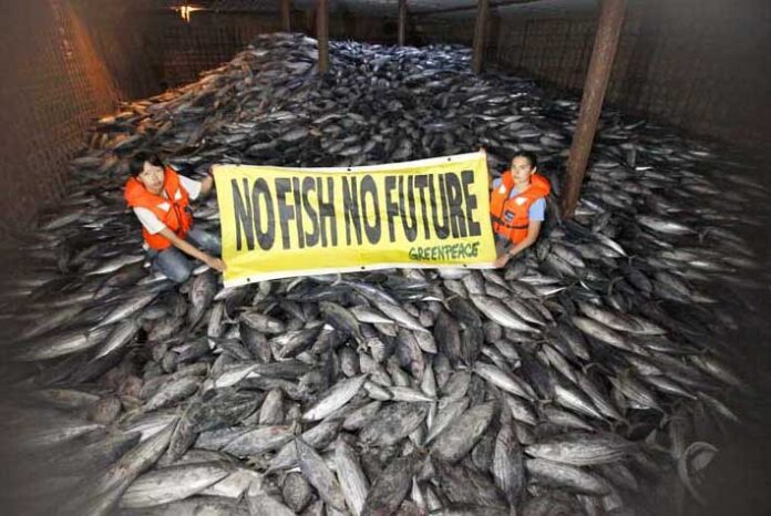 Greenpeace activists hold up a banner highlighting the fragile state of Pacific fisheries