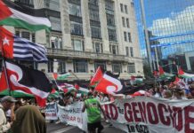 From Gaza to West Papua, the long struggle for justice and freedom The Palestinian and West Papuan flags flying high at a New Zealand protest