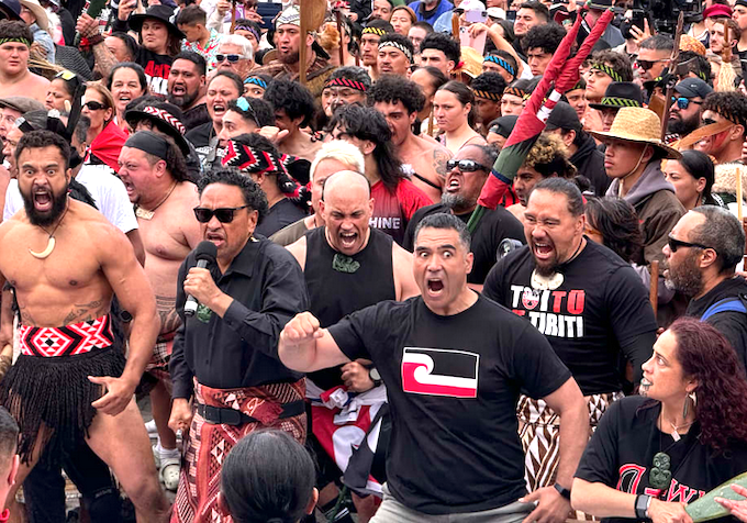 Police estimate 42,000 people participated in the Wellington leg of the hīkoi - but other estimates put it at well over 50,000.