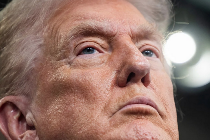 Donald Trump JC 800wide