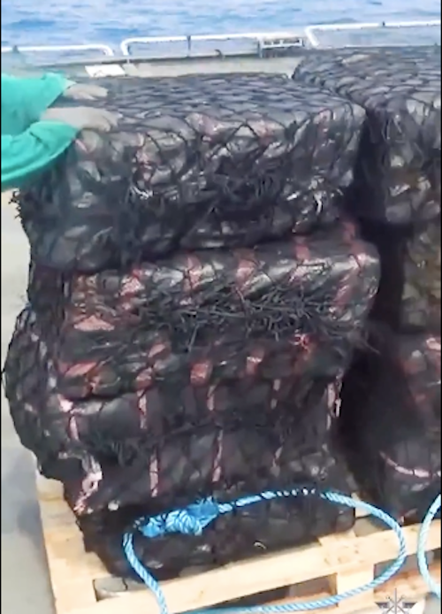 Part of the drug haul on pallets . . . before dumping at sea near the Tuamotu group