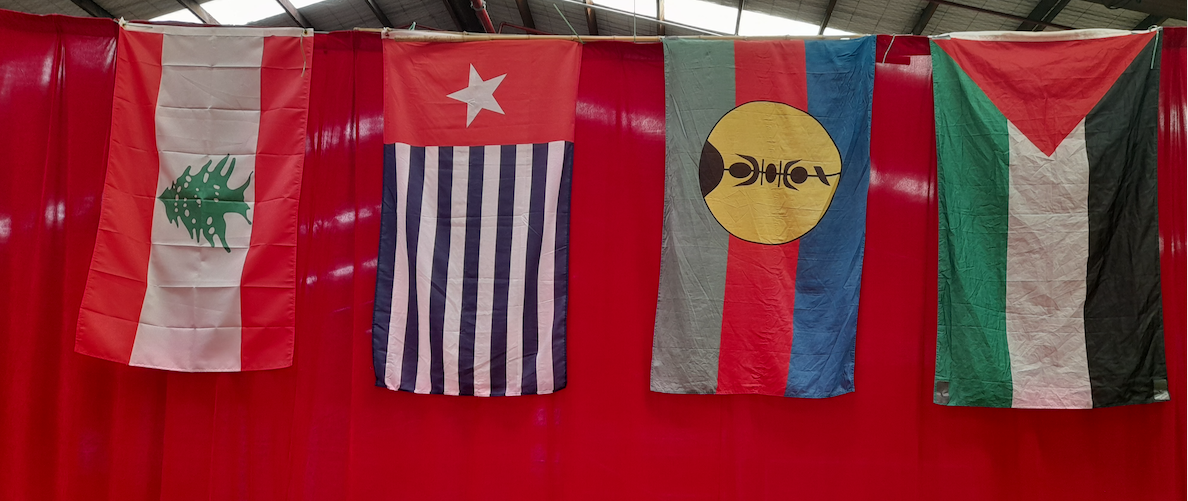 Some of the flags on display . . . Lebanon (from left), West Papua (Morning Star), Kanaky New Caledonia, and Palestine